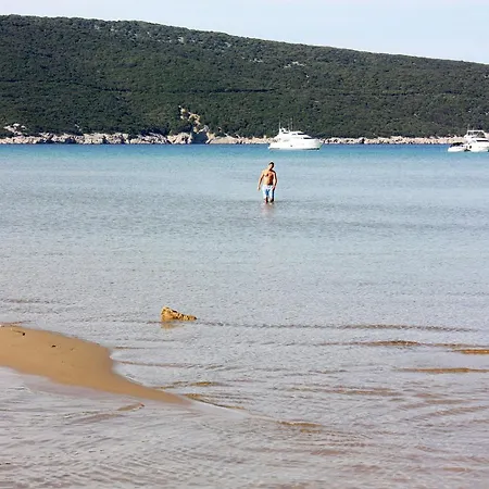 With Parking Space Lopar, Rab - 21808 Apartman Lopar